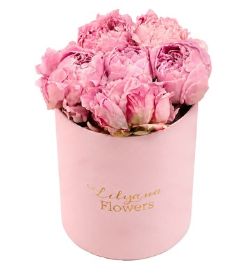 Yuvarlak Küçük Pembe Kutuda Pembe Şakayık