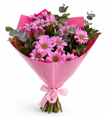 Pembe Papatyalar